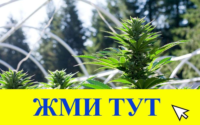 Купить наркотики в Туймазы